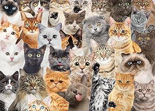 عرض حصري على PETER PAUPER PRESS All The Cats 1000 Piece Jigsaw Puzzle - عروض أمازون السعودية