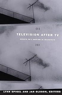Television After TV: Essays on a Medium in Transition